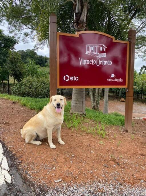 Casa Vigneto Octávio no Vale dos Vinhedos Villa Bento Gonçalves Exterior foto