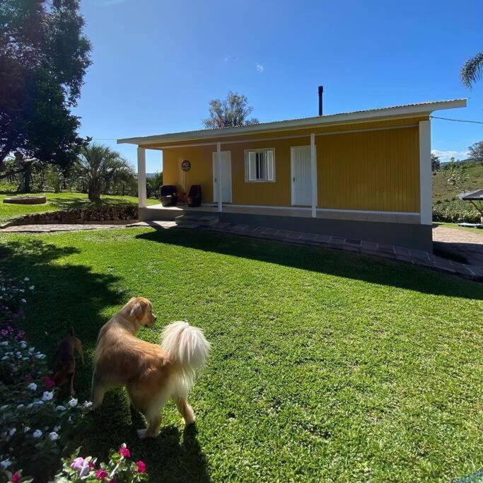 Casa Vigneto Octávio no Vale dos Vinhedos Villa Bento Gonçalves Exterior foto