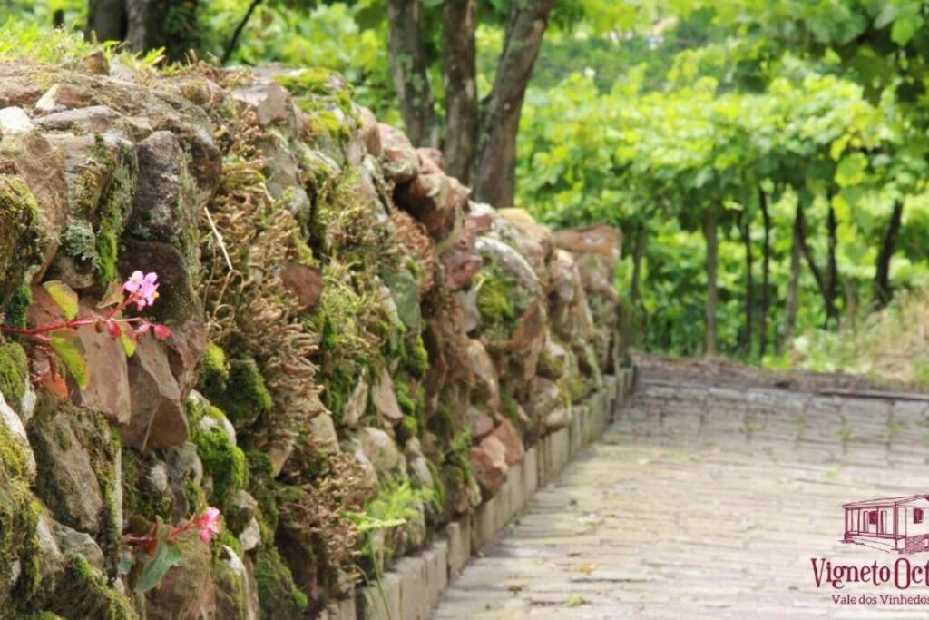Casa Vigneto Octávio no Vale dos Vinhedos Villa Bento Gonçalves Exterior foto