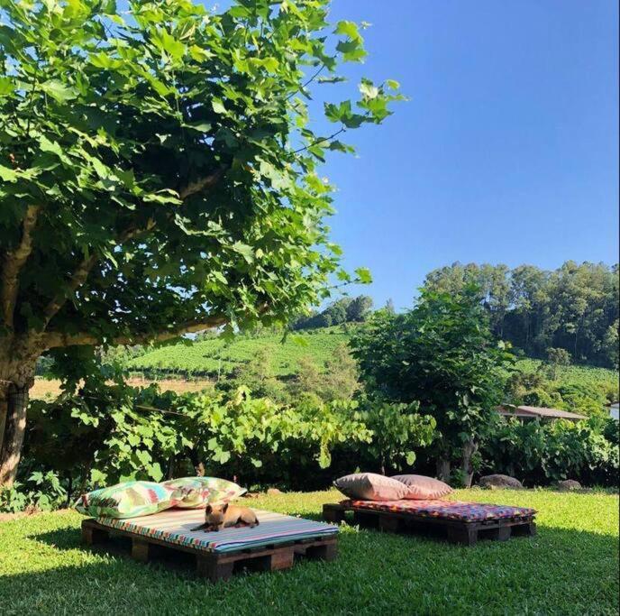 Casa Vigneto Octávio no Vale dos Vinhedos Villa Bento Gonçalves Exterior foto